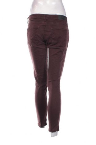 Γυναικείο παντελόνι Calvin Klein Jeans, Μέγεθος M, Χρώμα Καφέ, Τιμή 94,27 €