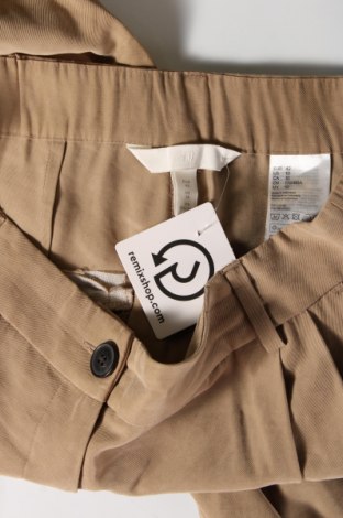 Damenhose H&M, Größe L, Farbe Beige, Preis 14,84 €