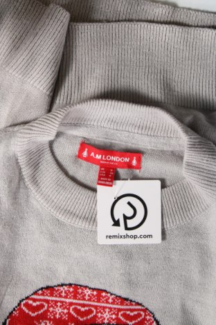 Γυναικείο πουλόβερ A.M. London, Μέγεθος M, Χρώμα Γκρί, Τιμή 14,26 €