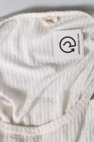 Γυναικείο πουλόβερ Bibi, Μέγεθος XL, Χρώμα Λευκό, Τιμή 10,76 €