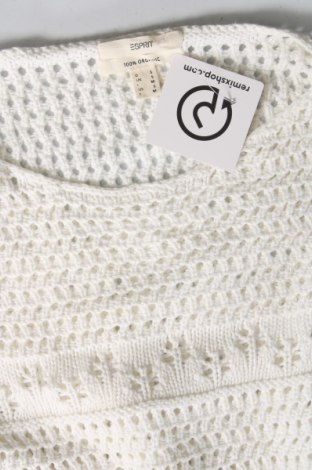 Damenpullover Esprit, Größe S, Farbe Weiß, Preis 28,53 €