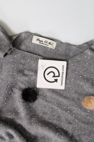 Γυναικείο πουλόβερ Paris Et Moi, Μέγεθος S, Χρώμα Γκρί, Τιμή 6,34 €