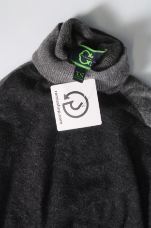 Γυναικείο πουλόβερ Wonder, Μέγεθος XS, Χρώμα Γκρί, Τιμή 5,74 €