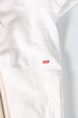 Damen Sweatshirt Esprit, Größe XS, Farbe Weiß, Preis 20,97 €