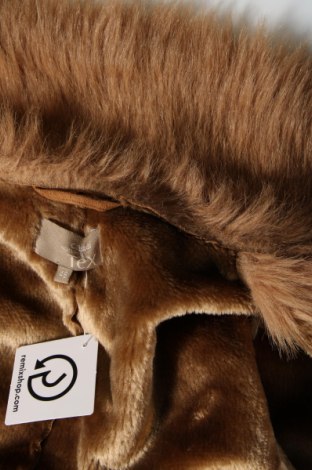 Γυναικείο παλτό Tex, Μέγεθος XL, Χρώμα Καφέ, Τιμή 11,25 €