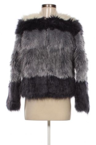 Γυναικείο παλτό Zara, Μέγεθος S, Χρώμα Πολύχρωμο, Τιμή 16,82 €