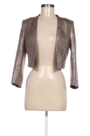 Γυναικείο σακάκι, Μέγεθος M, Χρώμα Γκρί, Τιμή 15,27 €
