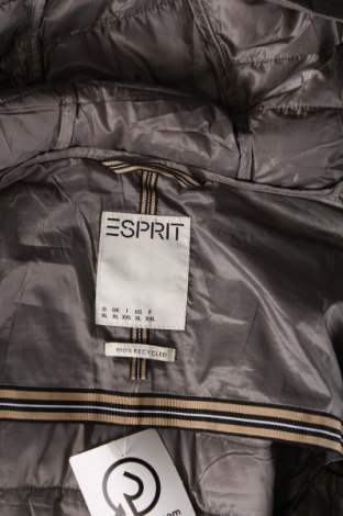 Дамско яке Esprit, Размер XL, Цвят Сив, Цена 68,00 лв.