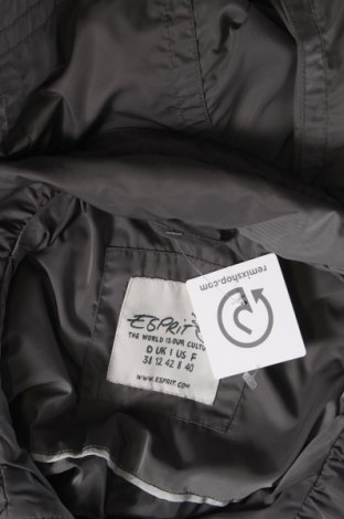Dámska bunda  Esprit, Veľkosť M, Farba Zelená, Cena  7,71 €