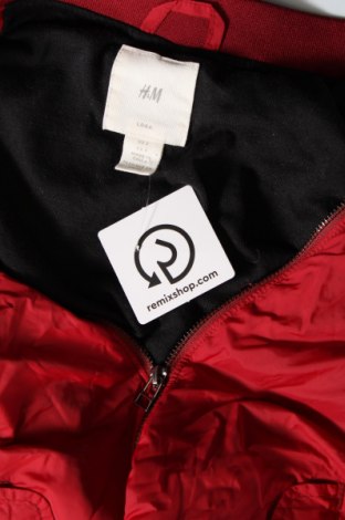 Γυναικείο μπουφάν H&M L.O.G.G., Μέγεθος S, Χρώμα Κόκκινο, Τιμή 11,10 €