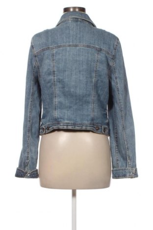 Γυναικείο μπουφάν New Look, Μέγεθος XL, Χρώμα Μπλέ, Τιμή 24,12 €