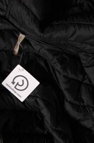 Dámská bunda  Pull&Bear, Velikost M, Barva Zelená, Cena  279,00 Kč