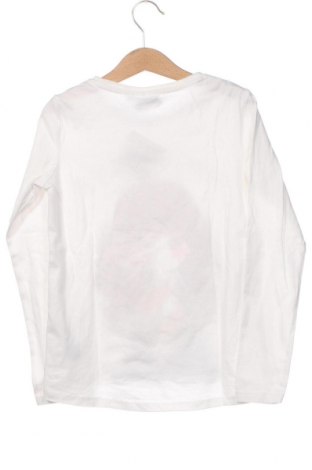 Детска блуза Harry Potter, Размер 7-8y/ 128-134 см, Цвят Бял, Цена 21,95 лв.