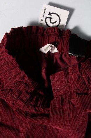 Παιδική φούστα H&M, Μέγεθος 12-13y/ 158-164 εκ., Χρώμα Κόκκινο, Τιμή 5,52 €