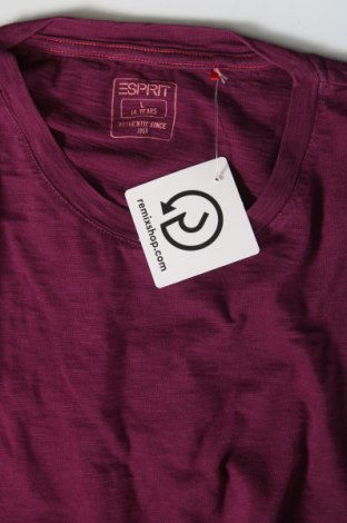 Kinder T-Shirt Esprit, Größe 13-14y/ 164-168 cm, Farbe Lila, Preis € 2,29