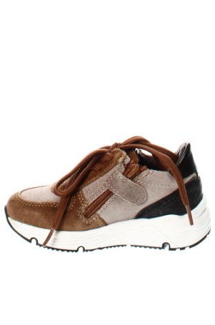 Παιδικά παπούτσια Pinocchio Shoes, Μέγεθος 24, Χρώμα Πολύχρωμο, Τιμή 23,71 €