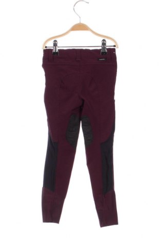 Παιδικό παντελόνι, Μέγεθος 7-8y/ 128-134 εκ., Χρώμα Βιολετί, Τιμή 4,90 €