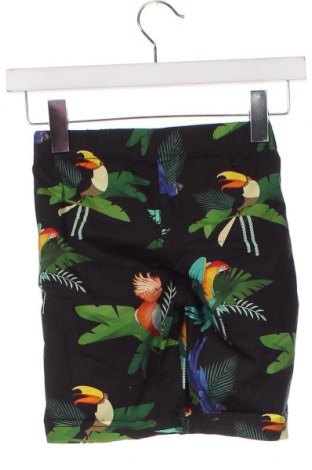 Pantaloni pentru copii H&M, Mărime 5-6y/ 116-122 cm, Culoare Multicolor, Preț 54,86 Lei