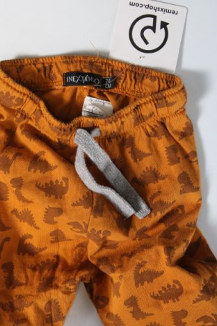 Pantaloni pentru copii In Extenso, Mărime 6-9m/ 68-74 cm, Culoare Maro, Preț 24,11 Lei