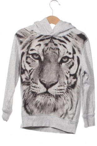 Kinder Sweatshirts H&M, Größe 4-5y/ 110-116 cm, Farbe Grau, Preis 6,75 €