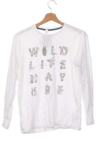 Herren Shirt H&M, Größe XS, Farbe Weiß, Preis 16,00 €