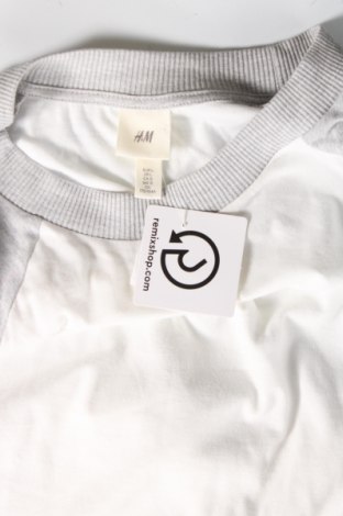 Ανδρική μπλούζα H&M, Μέγεθος L, Χρώμα Λευκό, Τιμή 9,72 €