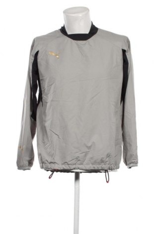 Ανδρική μπλούζα PUMA, Μέγεθος M, Χρώμα Γκρί, Τιμή 12,62 €