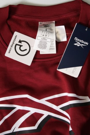 Ανδρική μπλούζα Reebok, Μέγεθος L, Χρώμα Κόκκινο, Τιμή 19,45 €