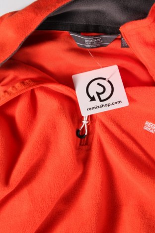 Ανδρική μπλούζα Regatta, Μέγεθος XXL, Χρώμα Πορτοκαλί, Τιμή 15,46 €