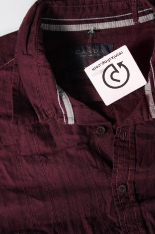 Ανδρικό πουκάμισο Canda, Μέγεθος XL, Χρώμα Βιολετί, Τιμή 6,10 €
