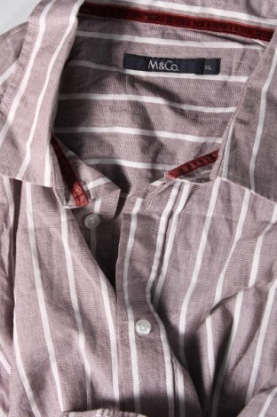 Ανδρικό πουκάμισο Max&Co., Μέγεθος XL, Χρώμα Πολύχρωμο, Τιμή 10,76 €