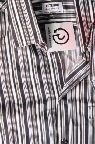 Ανδρικό πουκάμισο PETRIFUN, Μέγεθος L, Χρώμα Πολύχρωμο, Τιμή 7,15 €