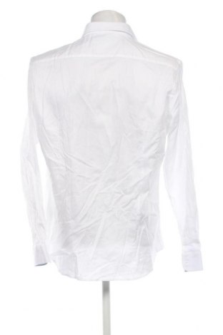 Ανδρικό πουκάμισο Paul Hunter, Μέγεθος XL, Χρώμα Λευκό, Τιμή 42,83 €