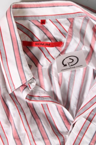 Ανδρικό πουκάμισο Signum, Μέγεθος XL, Χρώμα Πολύχρωμο, Τιμή 12,00 €