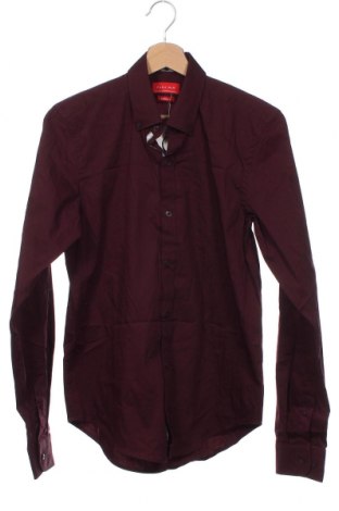 Pánska košeľa  Zara Man, Veľkosť S, Farba Fialová, Cena  4,82 €