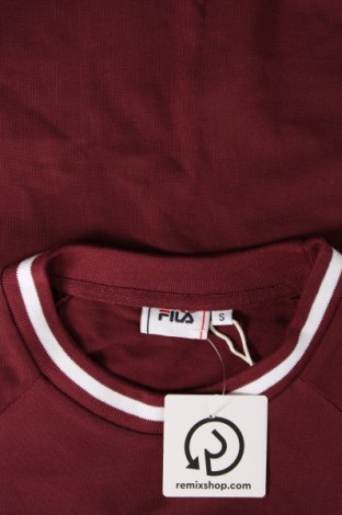 Herren T-Shirt FILA, Größe S, Farbe Rot, Preis 31,96 €