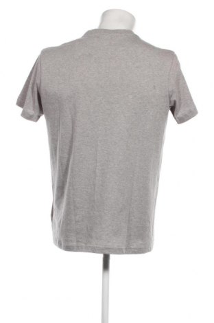 Herren T-Shirt Iriedaily, Größe M, Farbe Grau, Preis 15,98 €