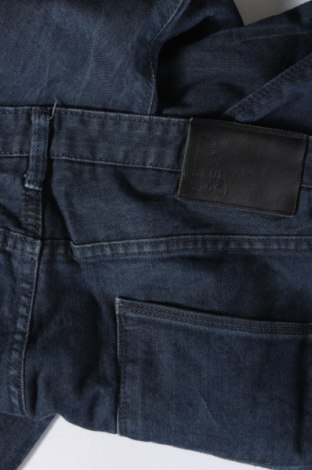 Herren Jeans Blue Ridge, Größe L, Farbe Blau, Preis 6,66 €