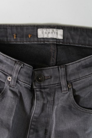 Herren Jeans Esprit, Größe M, Farbe Grau, Preis € 5,71