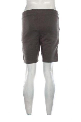 Ανδρικό κοντό παντελόνι Viral Vibes, Μέγεθος S, Χρώμα Γκρί, Τιμή 31,96 €