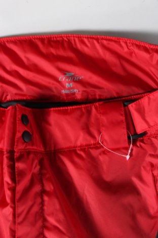 Ανδρικό παντελόνι για χειμερινά σπορ Crane, Μέγεθος L, Χρώμα Κόκκινο, Τιμή 23,94 €
