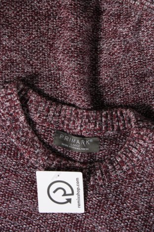 Herrenpullover Primark, Größe L, Farbe Mehrfarbig, Preis 4,24 €