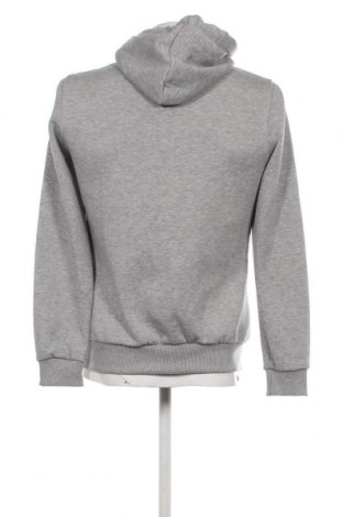 Herren Sweatshirt Hollister, Größe XL, Farbe Grau, Preis € 13,63