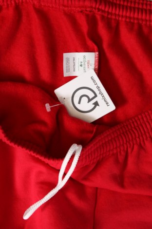 Herren Sporthose Hanes, Größe XXL, Farbe Rot, Preis 10,43 €