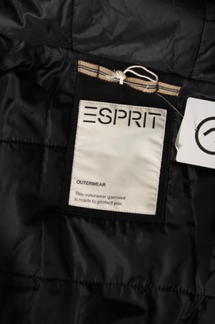 Ανδρικό μπουφάν Esprit, Μέγεθος L, Χρώμα Μαύρο, Τιμή 25,33 €