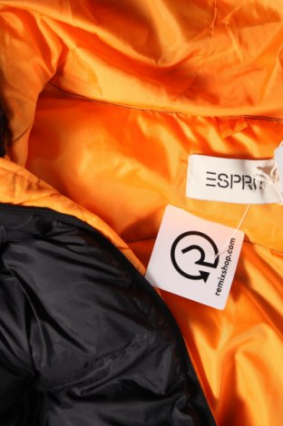 Ανδρικό μπουφάν Esprit, Μέγεθος M, Χρώμα Μαύρο, Τιμή 42,22 €