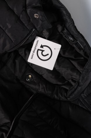Pánska bunda  Livergy, Veľkosť XL, Farba Čierna, Cena  27,22 €