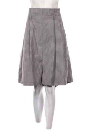 Damen Shorts, Größe XL, Farbe Grau, Preis € 9,72