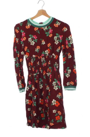 Kleid Maje, Größe XS, Farbe Mehrfarbig, Preis 61,55 €
