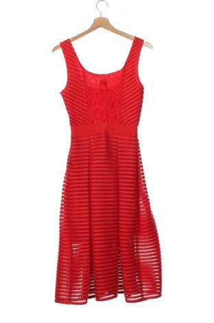 Kleid Pinko, Größe XS, Farbe Rot, Preis € 252,46